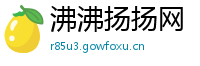 沸沸扬扬网